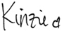 kinziesignature